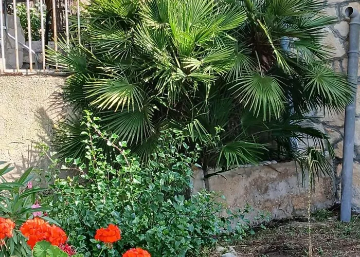 Oasis 아파트 *