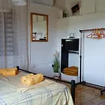 Apartment Oasis