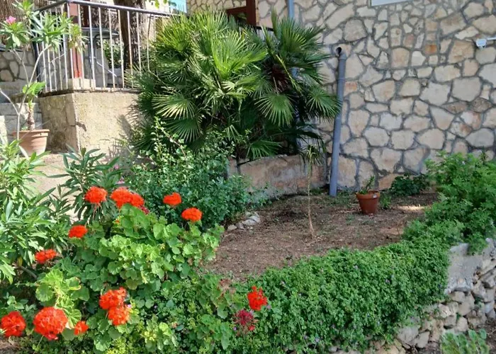 Appartamento Oasis