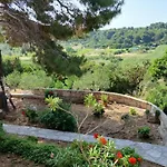 Oasis Вис