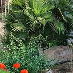 Oasis Апартаменты *